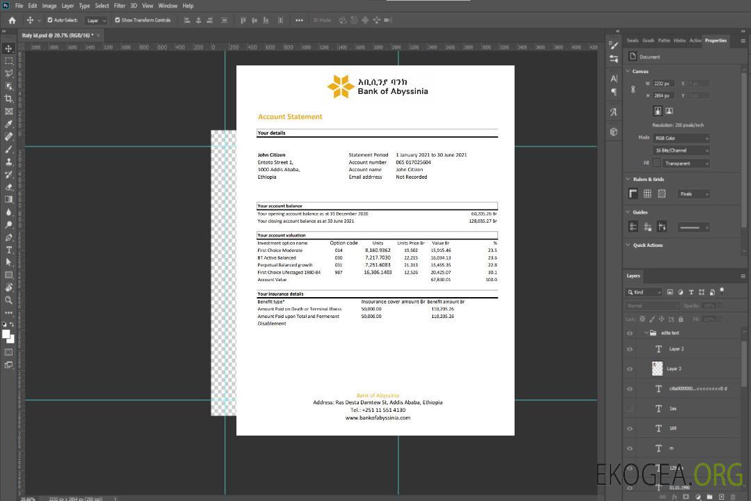 Relevé bancaire de l'Ethiopie Bank of Abyssinia, modèle facile à remplir au format de fichier .xls et .pdf template